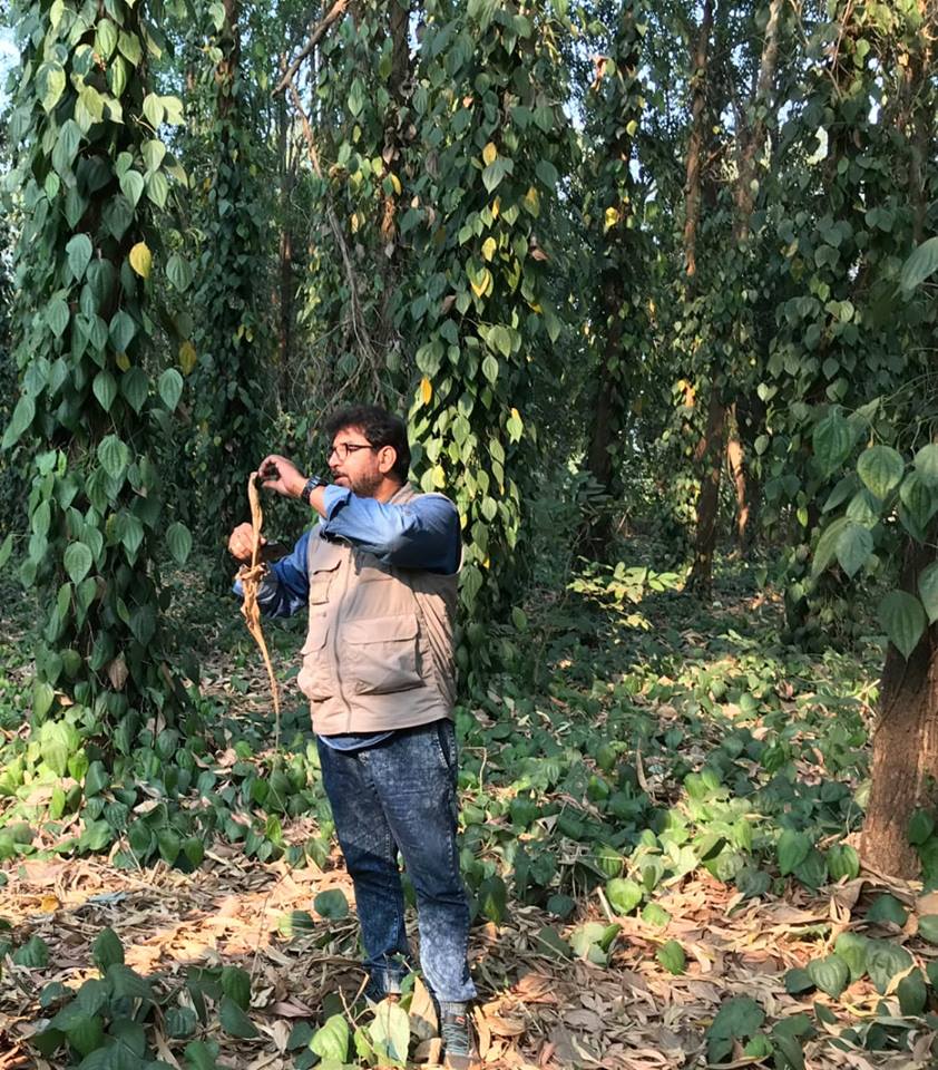 This Banker-Turned-Farmer Is Growing 70 Varieties of Herbs, Helping 22000 Farmers