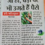 जी हां पेड़ों में उगते हैं पैसे